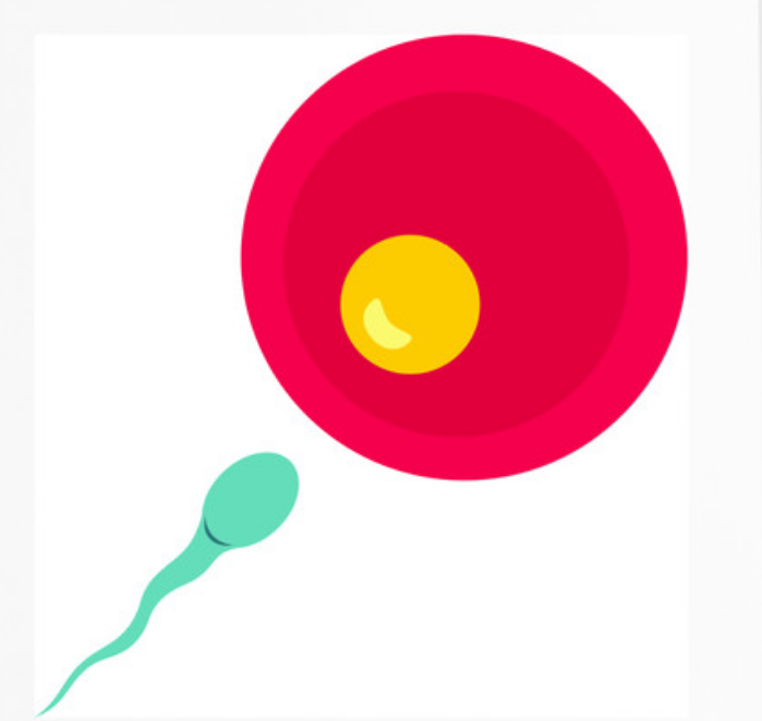 广州精因宝贝生殖中心地址[供卵注意问题],最新发布河北省试管助孕机构排行榜