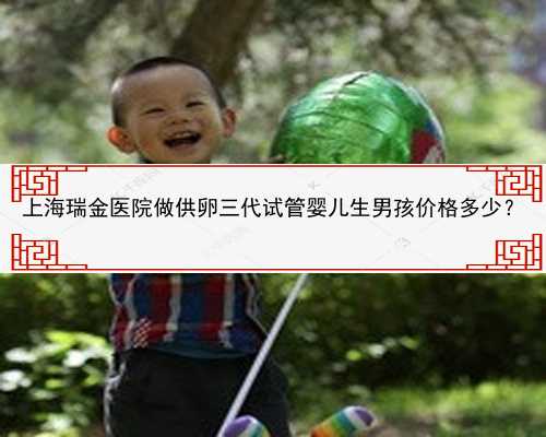 上海瑞金医院做供卵三代试管婴儿生男孩价格多少？