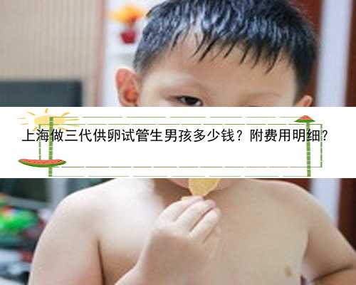 上海做三代供卵试管生男孩多少钱？附费用明细？